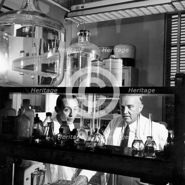Charles Herbert Best, Canadian physiologist, 1960. Creator: Unknown.