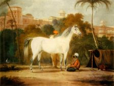 Charles II's Royal Mare c1685, (1944). Creator: Johann Christof Sartorius