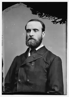 Charles Parnell of Dublin, Ireland, between 1870 and 1880. Creator: Unknown
