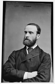 Charles Parnell of Dublin, Ireland, between 1870 and 1880. Creator: Unknown