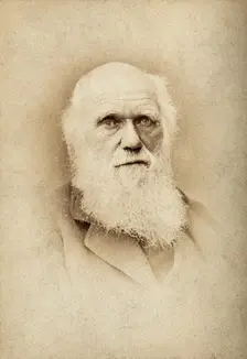 Charles Robert Darwin. Creator: Barraud