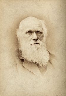 Charles Robert Darwin. Creator: Barraud