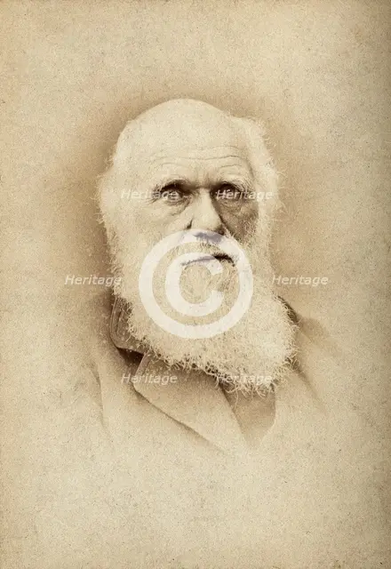 Charles Robert Darwin. Creator: Barraud.