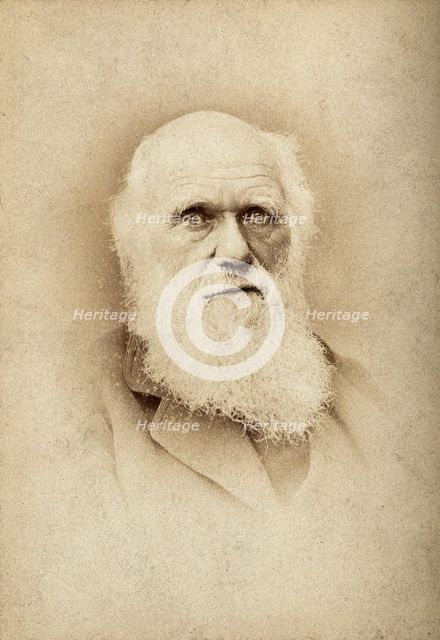 Charles Robert Darwin. Creator: Barraud.