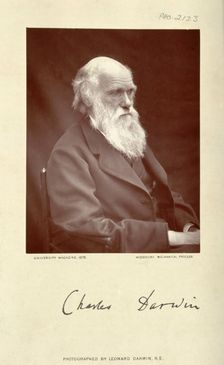 Charles Robert Darwin. Creator: Leonard Darwin