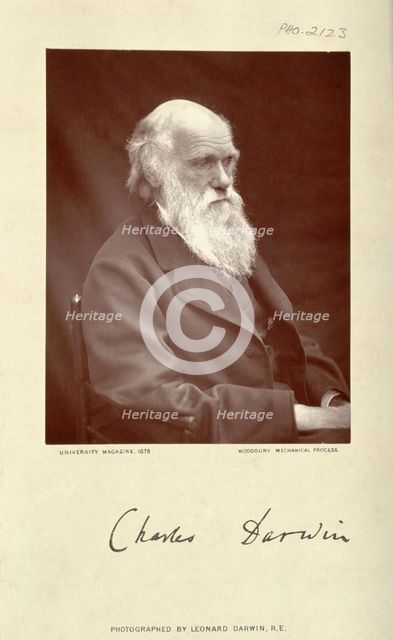 Charles Robert Darwin. Creator: Leonard Darwin.