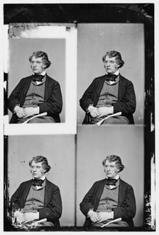 Charles Sumner of Massachusetts, between 1860 and 1875. Creator: Unknown