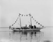 Charlietta, between 1895 and 1900. Creator: John S Johnston