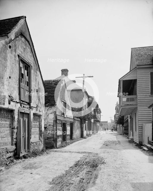 Charlotte Street, St. Augustine, Fla., between 1900 and 1910. Creator: Unknown.