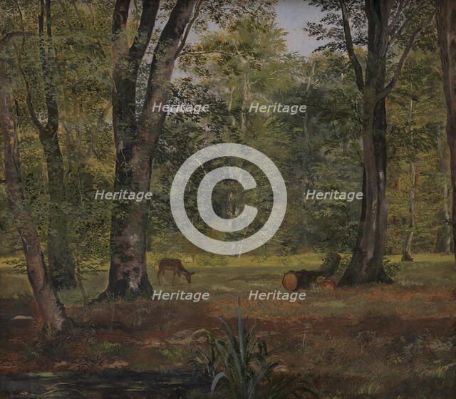 Charlottenlund Wood, North of Copenhagen, 1837. Creator: Lorenz Frolich.