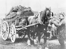 Charringtons coal delivery. Creator: Unknown