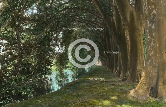 Chateau of Courances, Courances, Seine-et-Marne, France, 1925. Creator: Frances Benjamin Johnston.