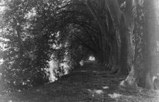Chateau of Courances, Forest of Fontainebleau, France, between 1910 and 1925. Creator: Frances Benjamin Johnston