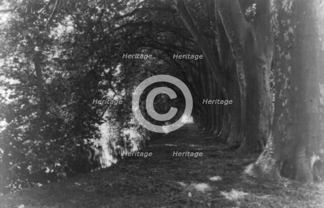 Chateau of Courances, Forest of Fontainebleau, France, between 1910 and 1925. Creator: Frances Benjamin Johnston.