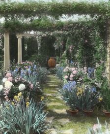"Chatham," Colonel Daniel Bradford Devore house, 120 Chatham Lane, Fredericksburg, Virginia, 1927. Creator: Frances Benjamin Johnston