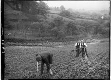 Cheddar, Sedgemoor, Somerset, 1907. Creator: Katherine Jean Macfee