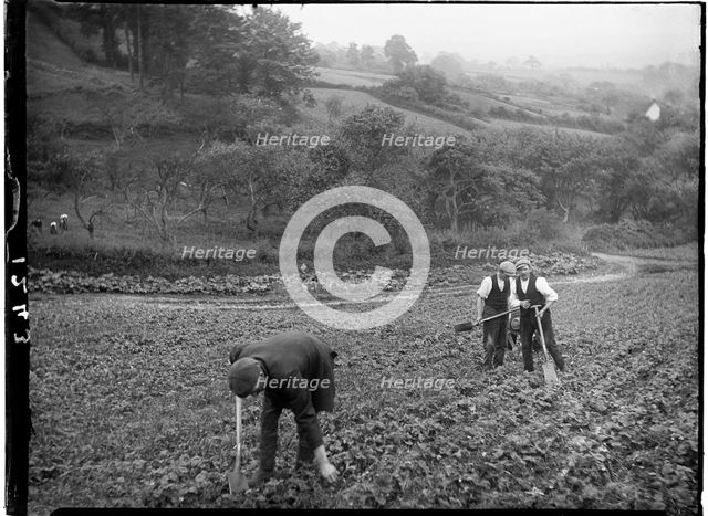 Cheddar, Sedgemoor, Somerset, 1907. Creator: Katherine Jean Macfee.