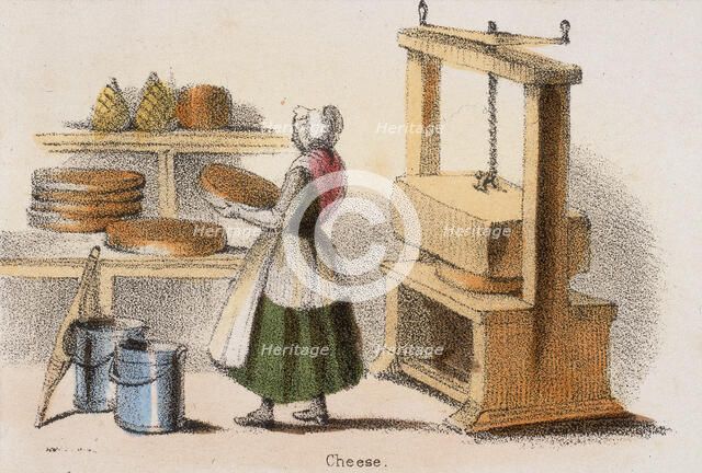 'Cheese', c1845.  Artist: Benjamin Waterhouse Hawkins