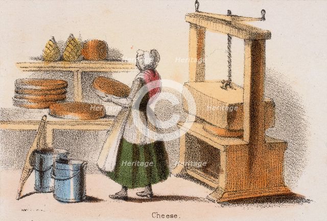 'Cheese', c1845.  Creator: Benjamin Waterhouse Hawkins.