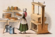 Cheese c1845. Creator: Benjamin Waterhouse Hawkins