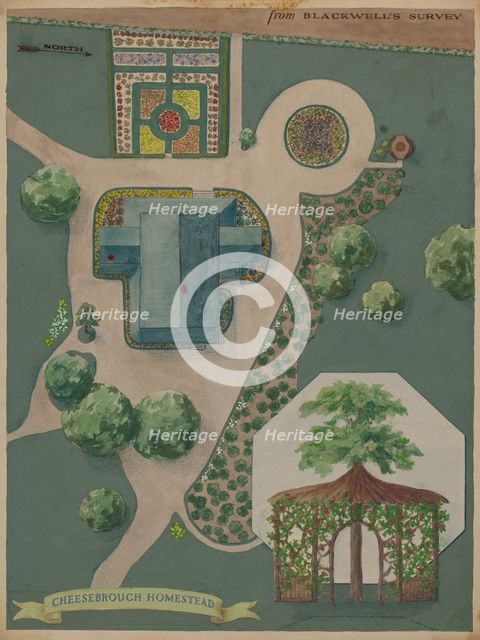 Cheeseborough Estate, c. 1936. Creator: Helen Miller.
