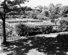 "Chelmsford," Elon Huntington Hooker house, Greenwich, Connecticut. Vegetable garden, c1914. Creator: Frances Benjamin Johnston