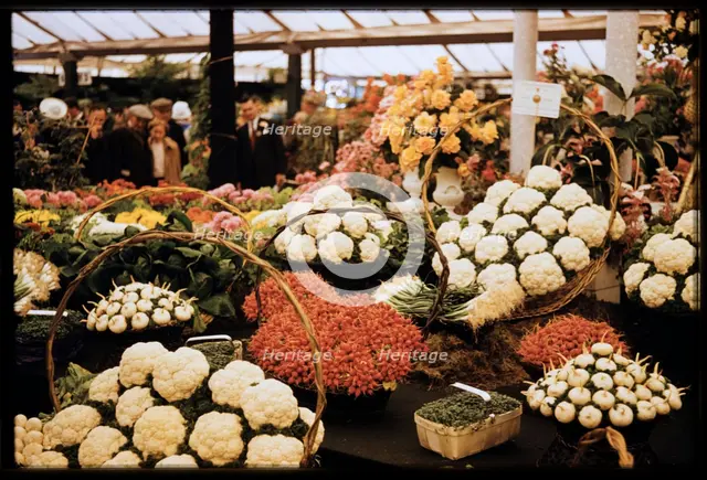 Chelsea Flower Show, London, 1962. Creator: Norman Barnard.