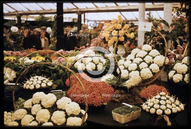 Chelsea Flower Show, London, 1962. Creator: Norman Barnard.