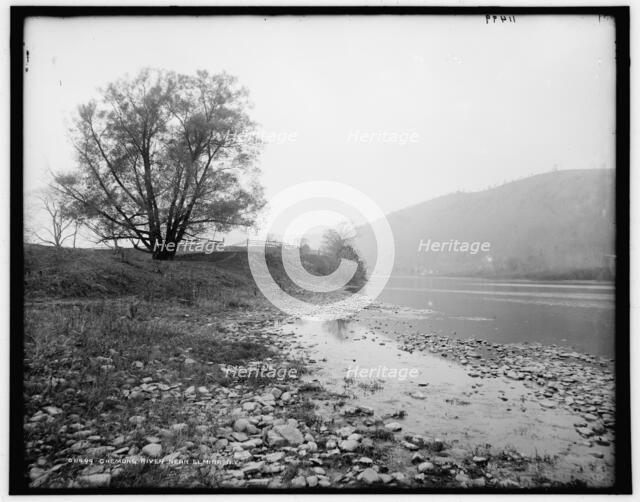 Chemung River near Elmira, N.Y., c1900. Creator: Unknown.