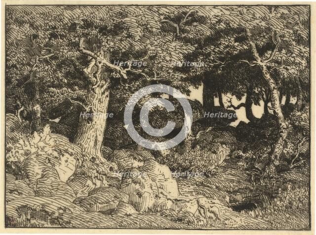 Chenes de Roche (Rock Oaks), 1861. Creator: Theodore Rousseau.