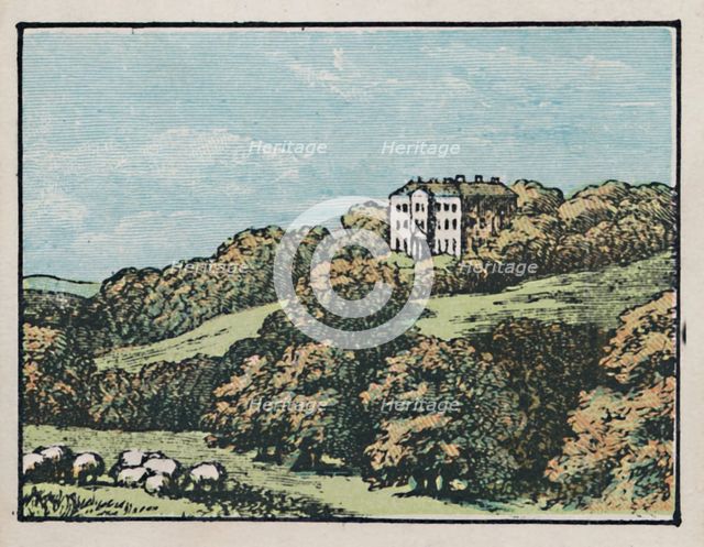 'Chesterfield', c1910. Creator: Unknown.