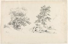 Chestnut and Pine, 1869. Creator: David Johnson (American, 1827-1908)