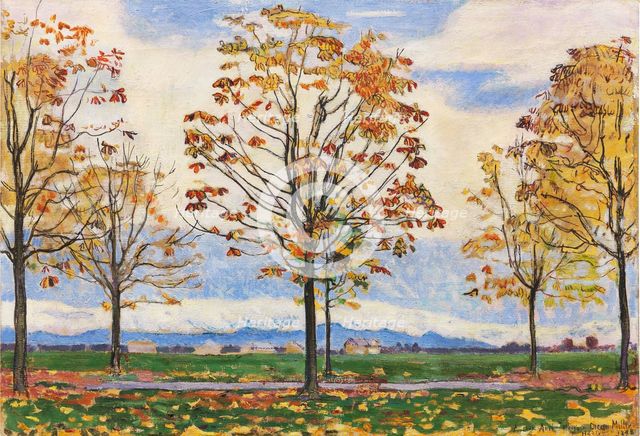Chestnut avenue near Biberist, 1898. Creator: Hodler, Ferdinand (1853-1918).