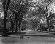 Chestnut St., Salem, Mass., c1906. Creator: Unknown