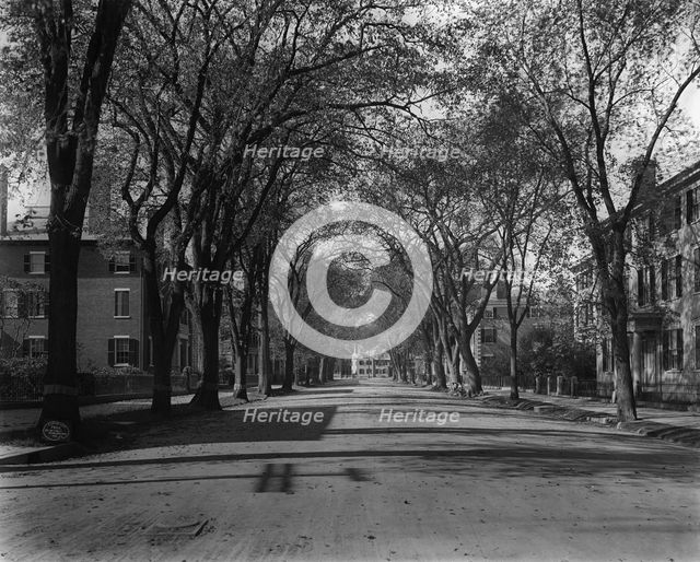 Chestnut St., Salem, Mass., c1906. Creator: Unknown.