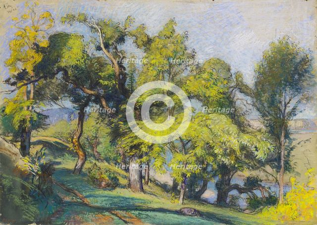 Chestnut Trees above a River, c.1900. Creator: Auguste Lepere.