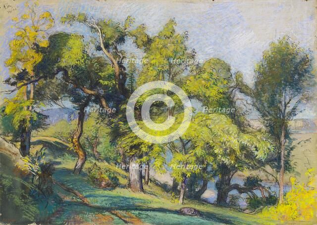 Chestnut Trees above a River, c.1900. Creator: Auguste Lepere.