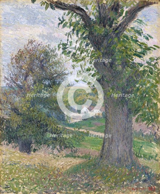 Chestnut trees in Osny, 1883. Creator: Camille Pissarro.