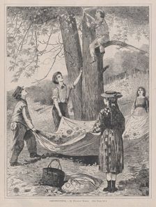 Chestnutting (Every Saturday, Vol. I, New Series), October 29, 1870. Creator: Unknown