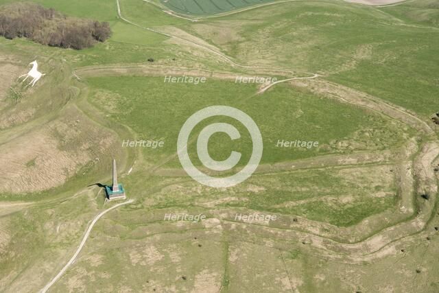 Cherhill Down, Wiltshire, 2018. Creator: Historic England Staff Photographer.