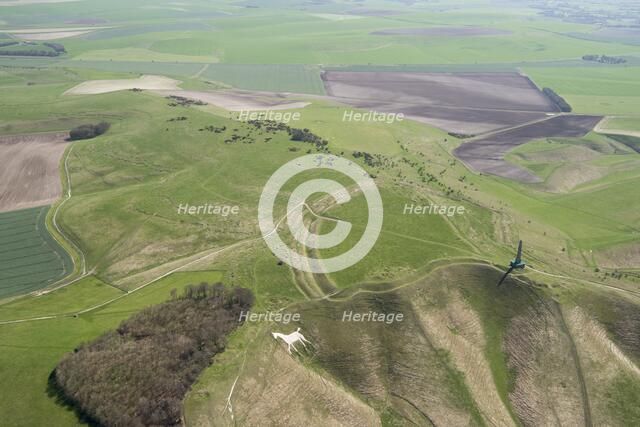 Cherhill Down, Wiltshire, 2018. Creator: Historic England Staff Photographer.