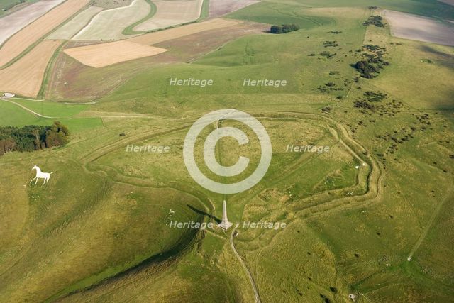 Cherhill Down, Wiltshire, c2011-c2016. Artist: Damian Grady.