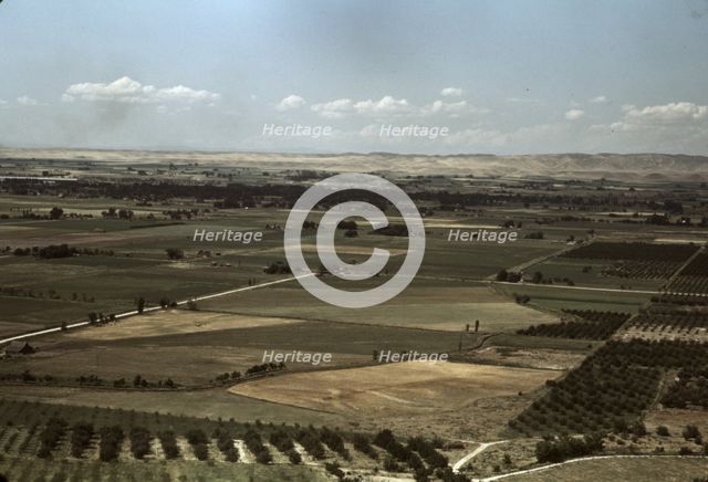 Cherry orchards and farming land, Emmett, Idaho, 1941. Creator: Russell Lee.