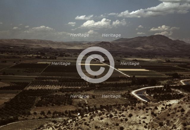 Cherry orchards and farming land, Emmett, Idaho, 1941. Creator: Russell Lee.