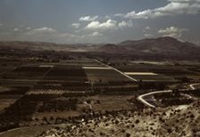 Cherry orchards and farming land, Emmett, Idaho, 1941. Creator: Russell Lee