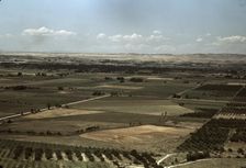 Cherry orchards and farming land, Emmett, Idaho, 1941. Creator: Russell Lee