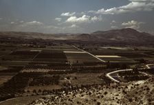 Cherry orchards and farming land, Emmett, Idaho, 1941. Creator: Russell Lee