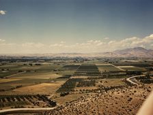 Cherry orchards, farm lands and irrigation ditch at Emmett, Idaho, 1941. Creator: Russell Lee