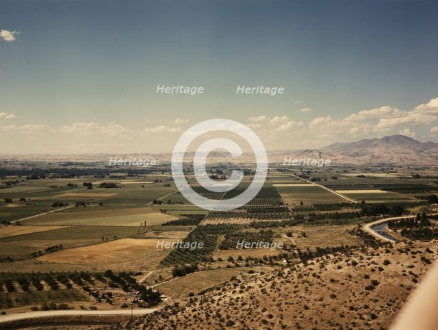 Cherry orchards, farm lands and irrigation ditch at Emmett, Idaho, 1941. Creator: Russell Lee.