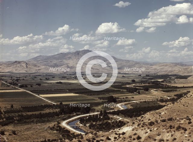 Cherry orchards, farm lands and irrigation ditch at Emmett, Idaho, 1941. Creator: Russell Lee.